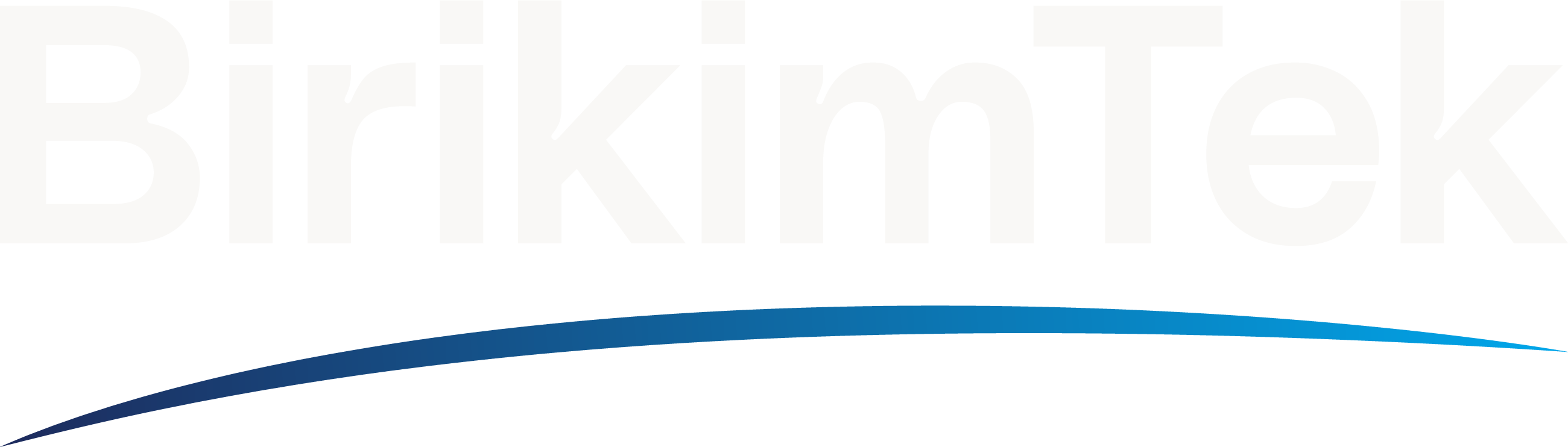 BirikimTek Logo Dişi PNG