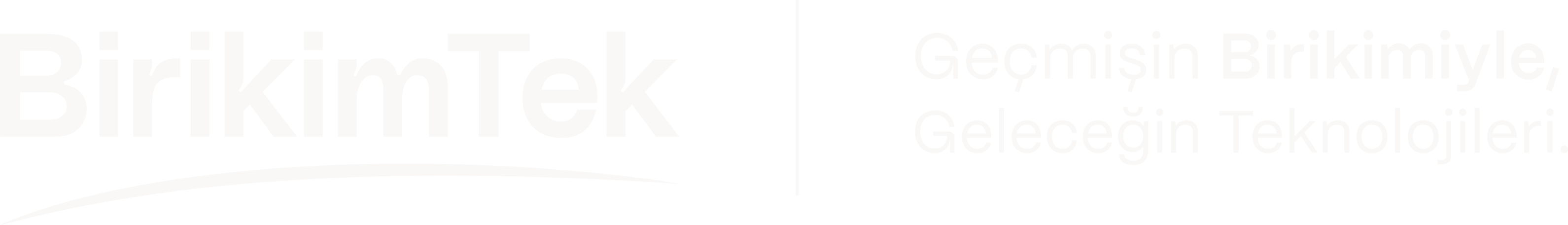 BirikimTek Logo Full Light PNG