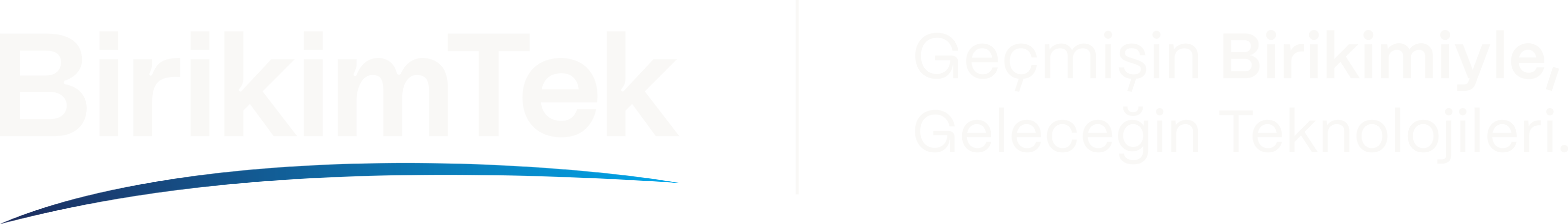 BirikimTek Logo Full Light PNG