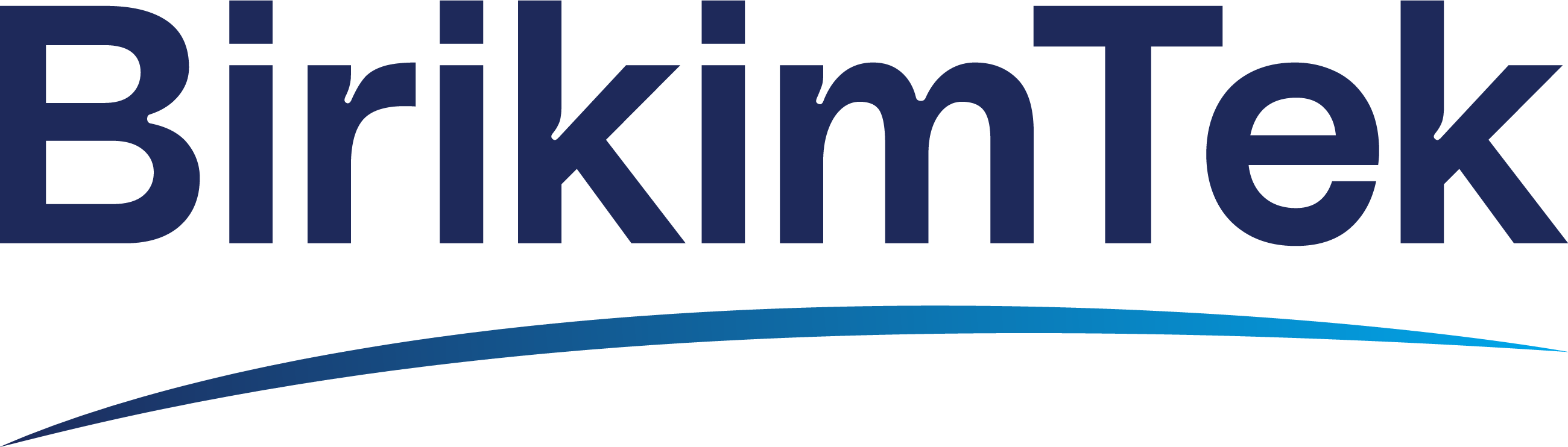 BirikimTek Logo PNG